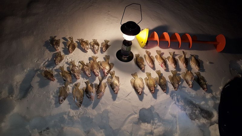 United Kigdom - ice fishing casino